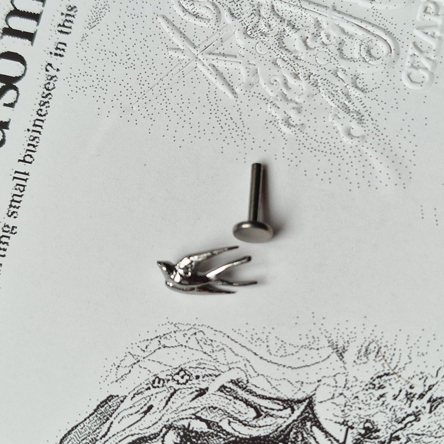 Swollow Bird Cartilage Stud | Silver Titanium Body Piercings