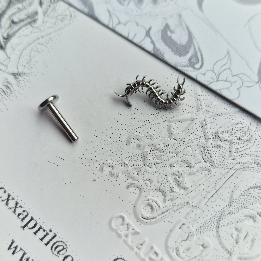 Centipede Insect Silver Titanium Stud |  Nature Body Piercings and Jewellery