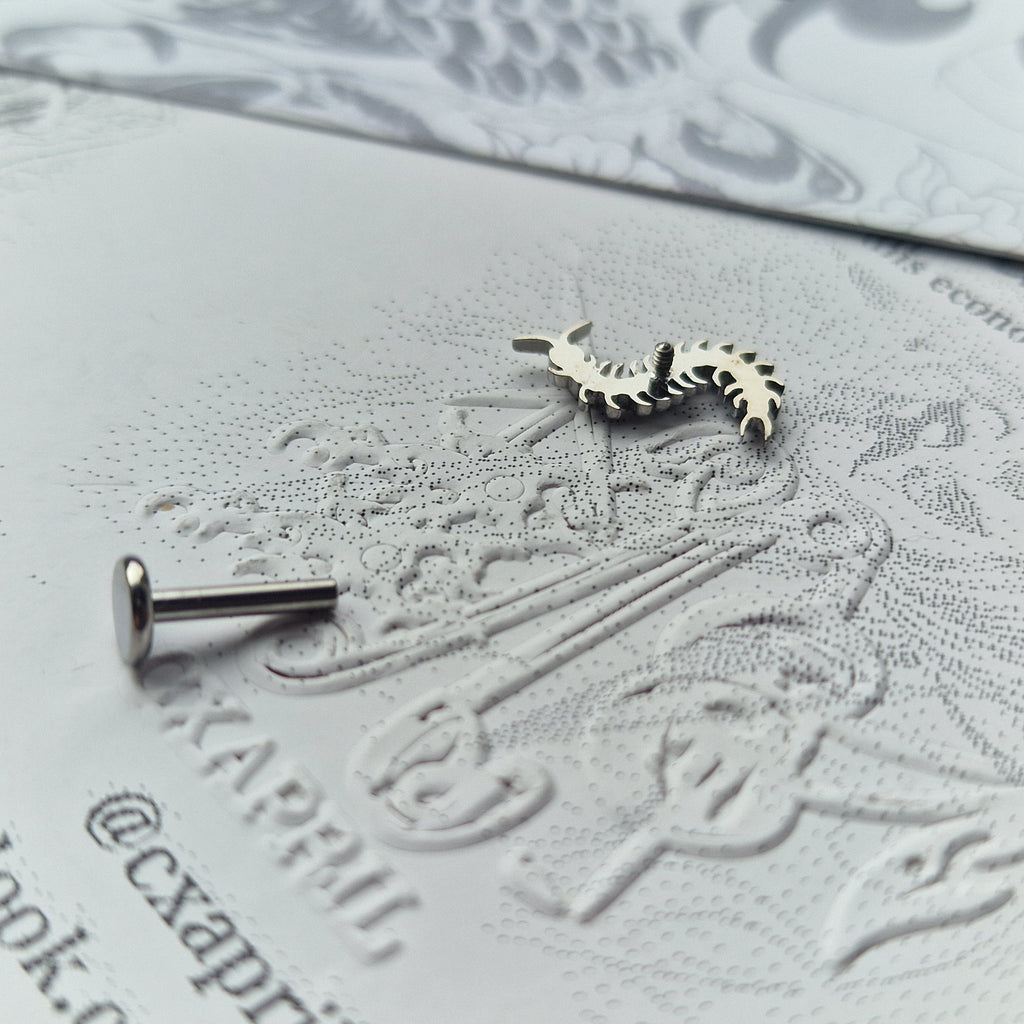 Centipede Insect Silver Titanium Stud |  Nature Body Piercings and Jewellery
