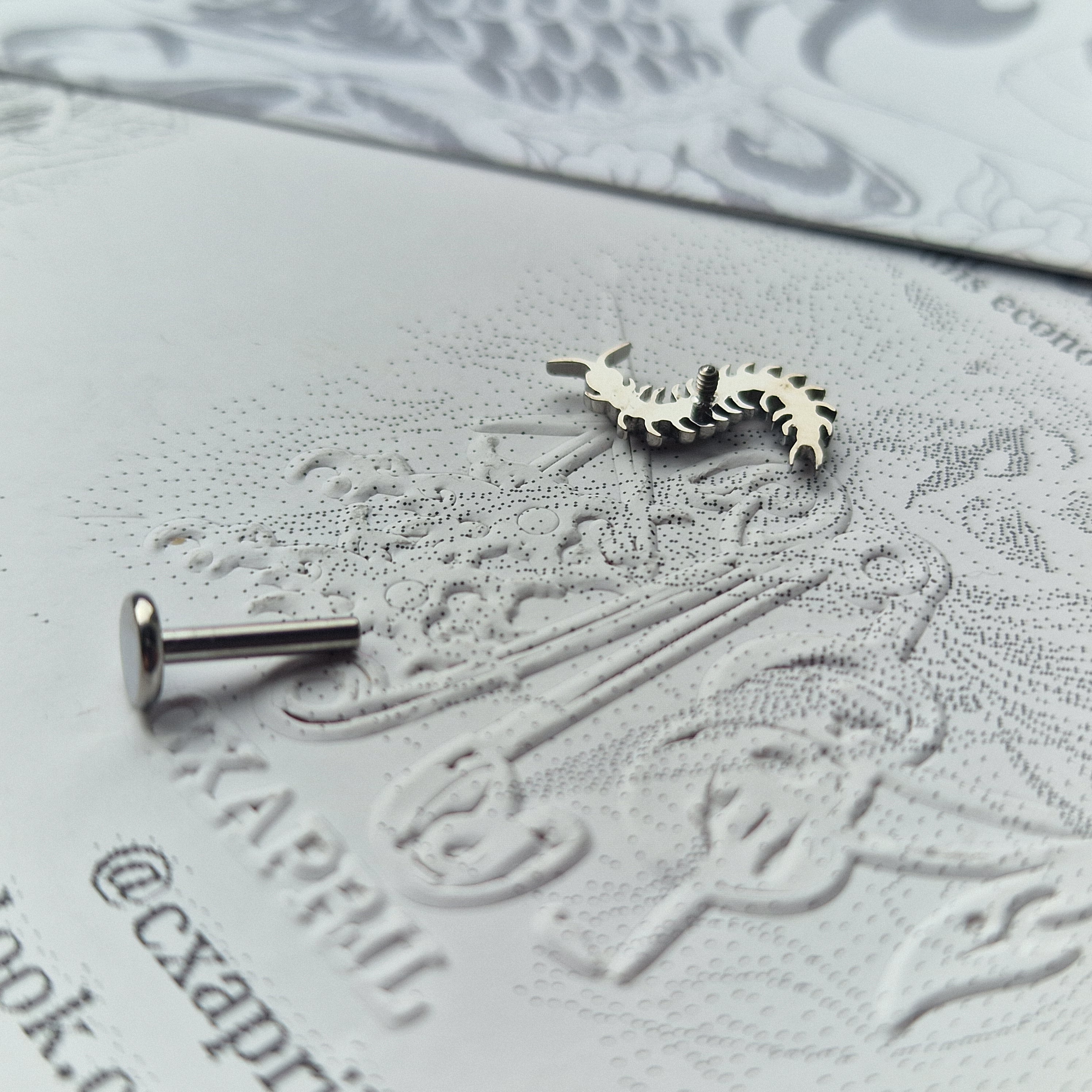 Centipede Insect Silver Titanium Stud |  Nature Body Piercings and Jewellery