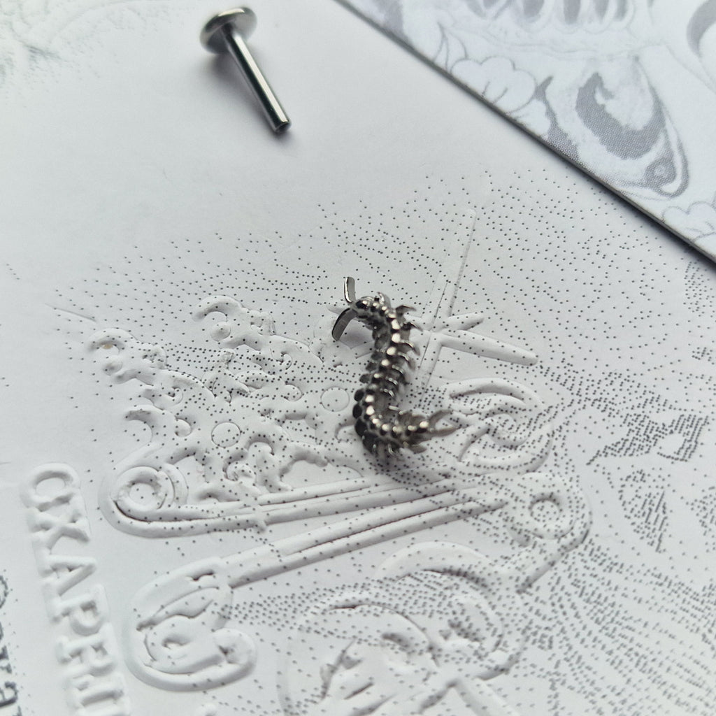 Centipede Insect Silver Titanium Stud |  Nature Body Piercings and Jewellery