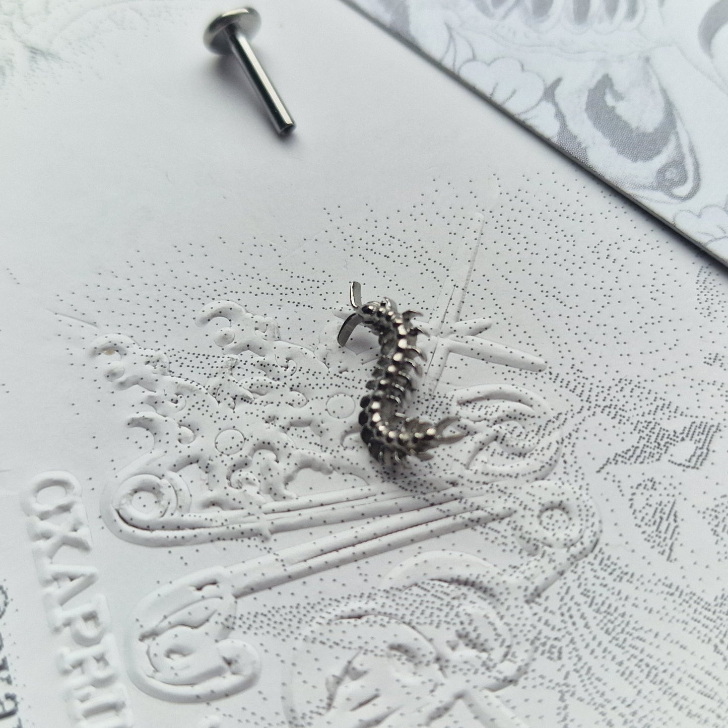 Centipede Insect Silver Titanium Stud |  Nature Body Piercings and Jewellery