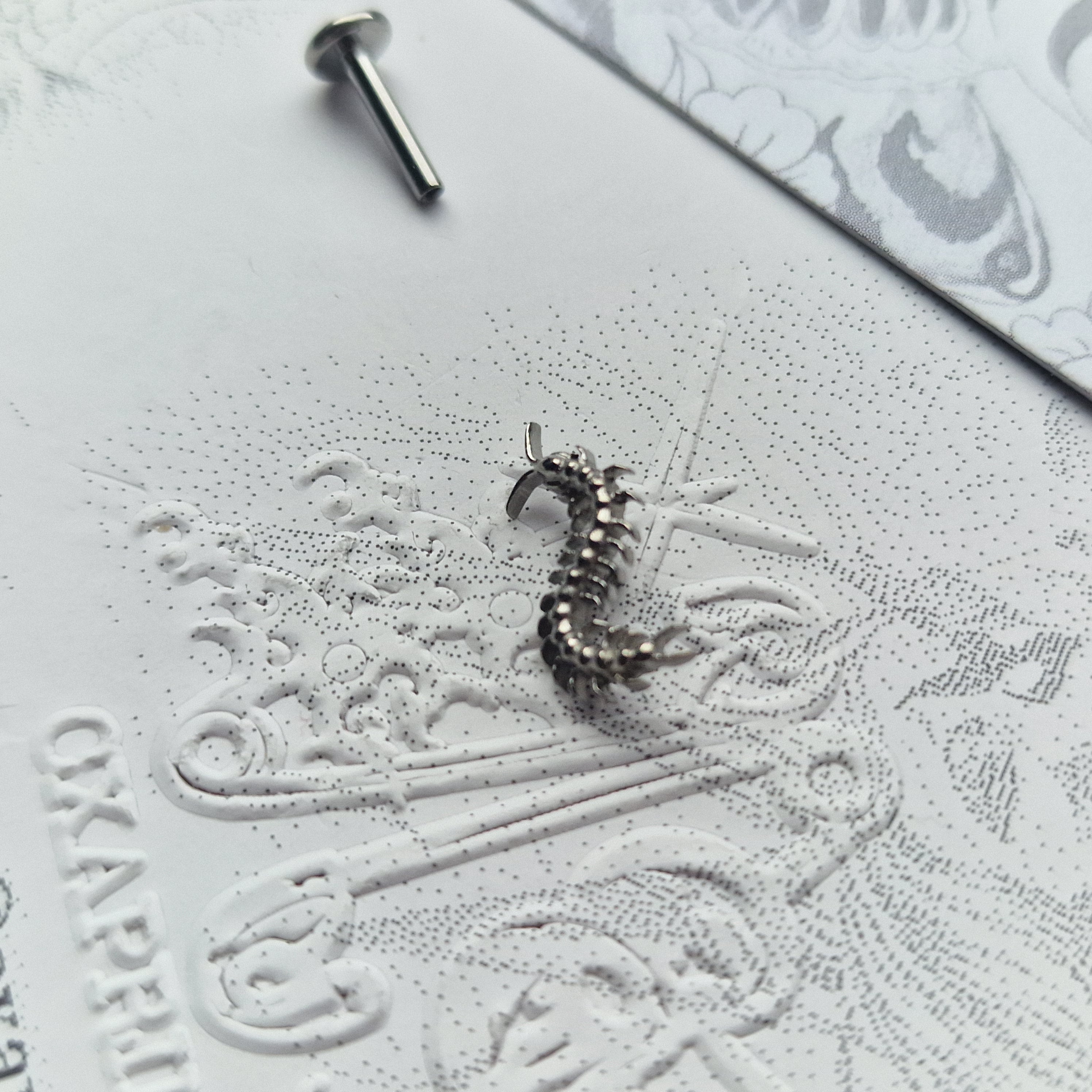 Centipede Insect Silver Titanium Stud |  Nature Body Piercings and Jewellery