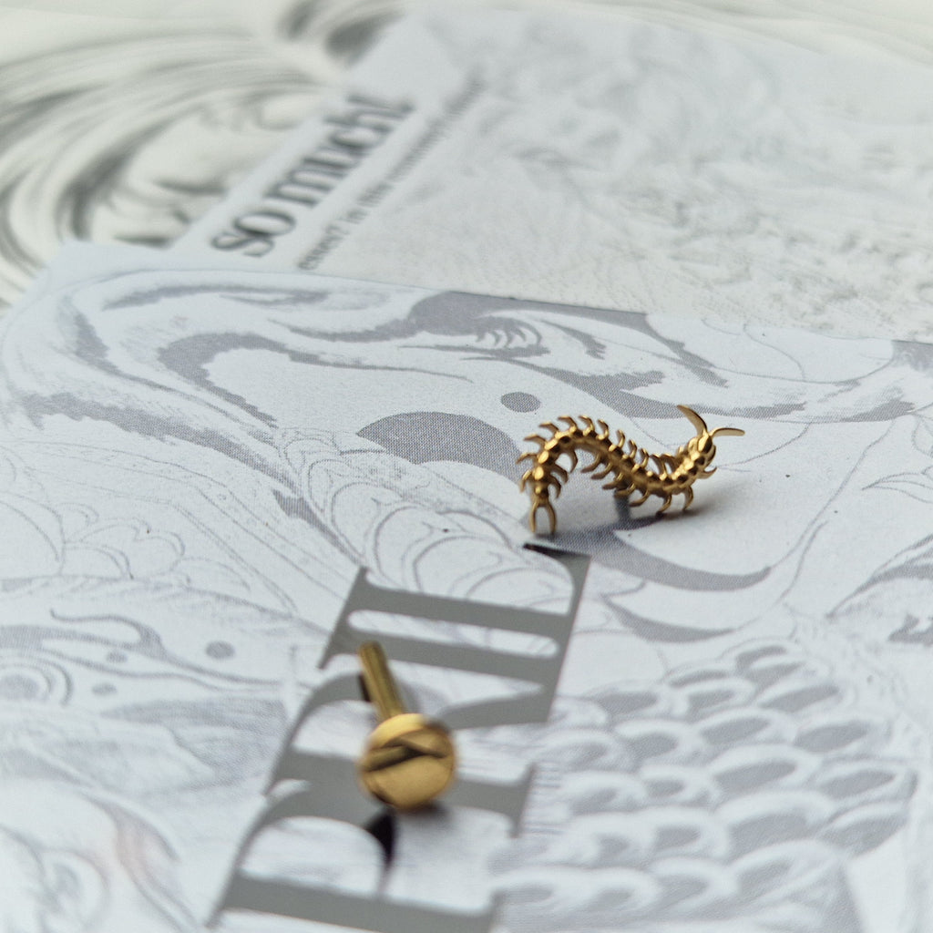 Centipede Insect Gold Titanium Stud |  Nature Body Piercings and Jewellery