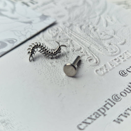 Centipede Insect Silver Titanium Stud |  Nature Body Piercings and Jewellery
