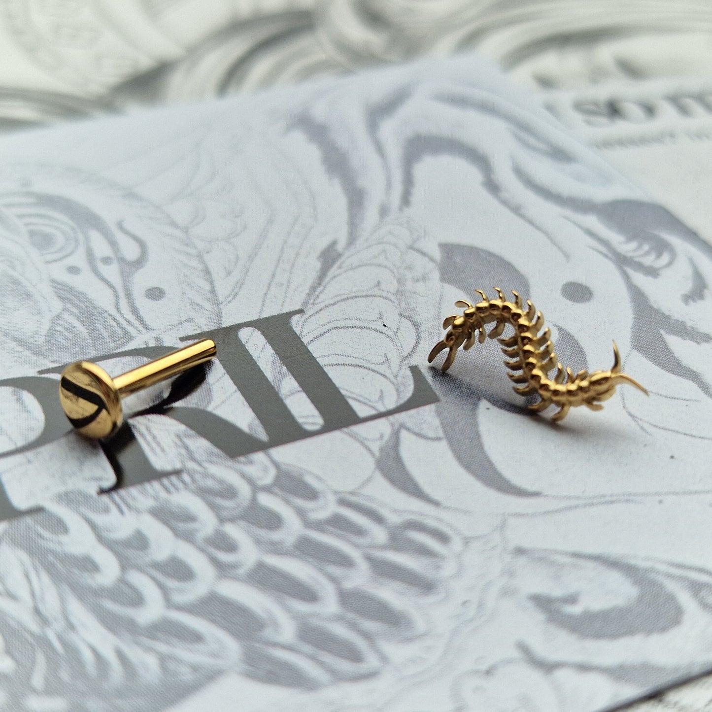 Centipede Insect Gold Titanium Stud |  Nature Body Piercings and Jewellery