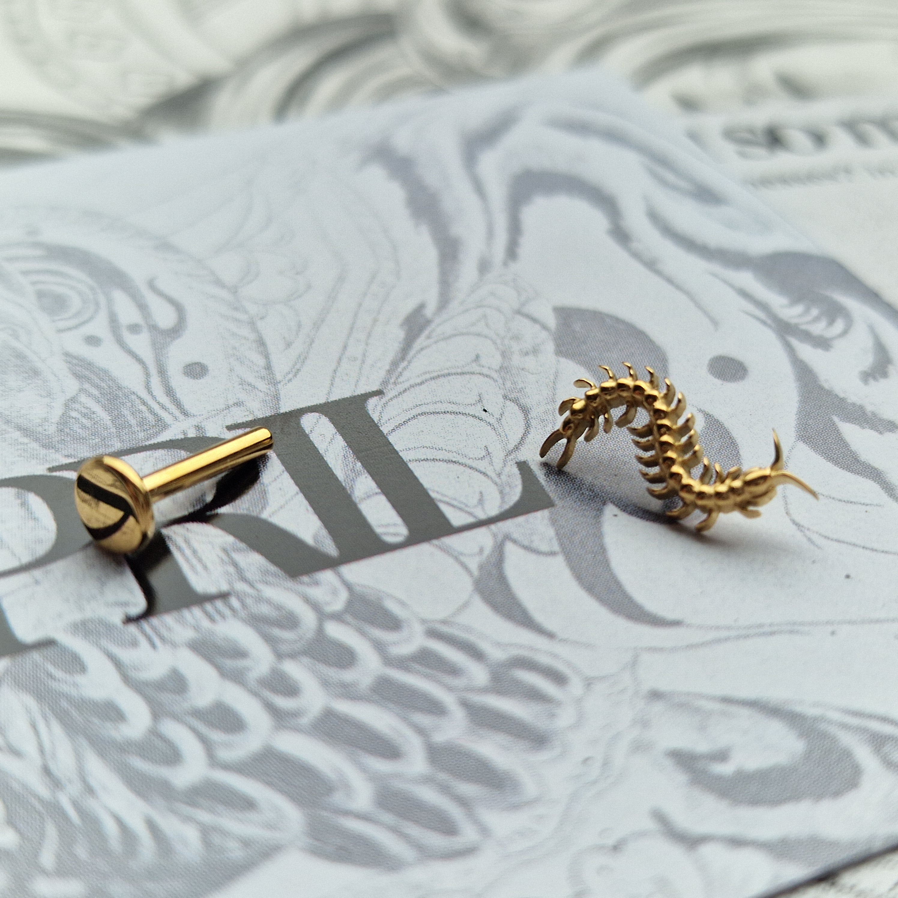 Centipede Insect Gold Titanium Stud |  Nature Body Piercings and Jewellery