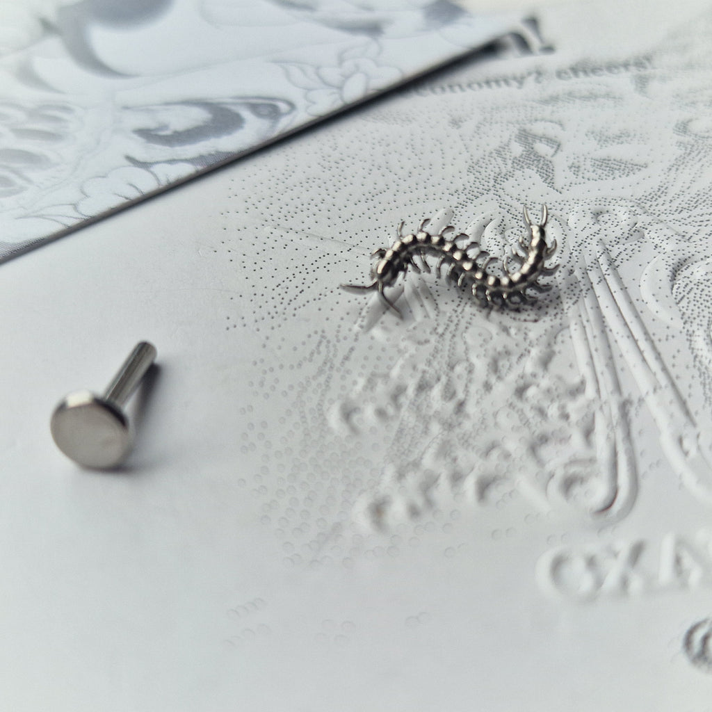 Centipede Insect Silver Titanium Stud |  Nature Body Piercings and Jewellery