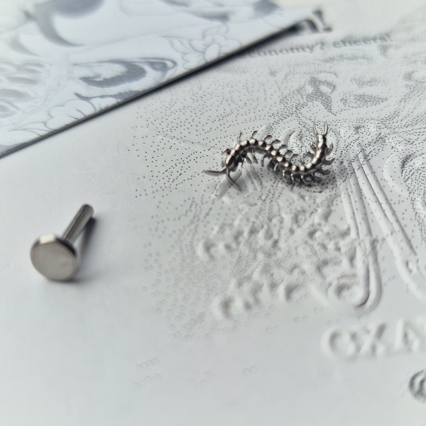 Centipede Insect Silver Titanium Stud |  Nature Body Piercings and Jewellery