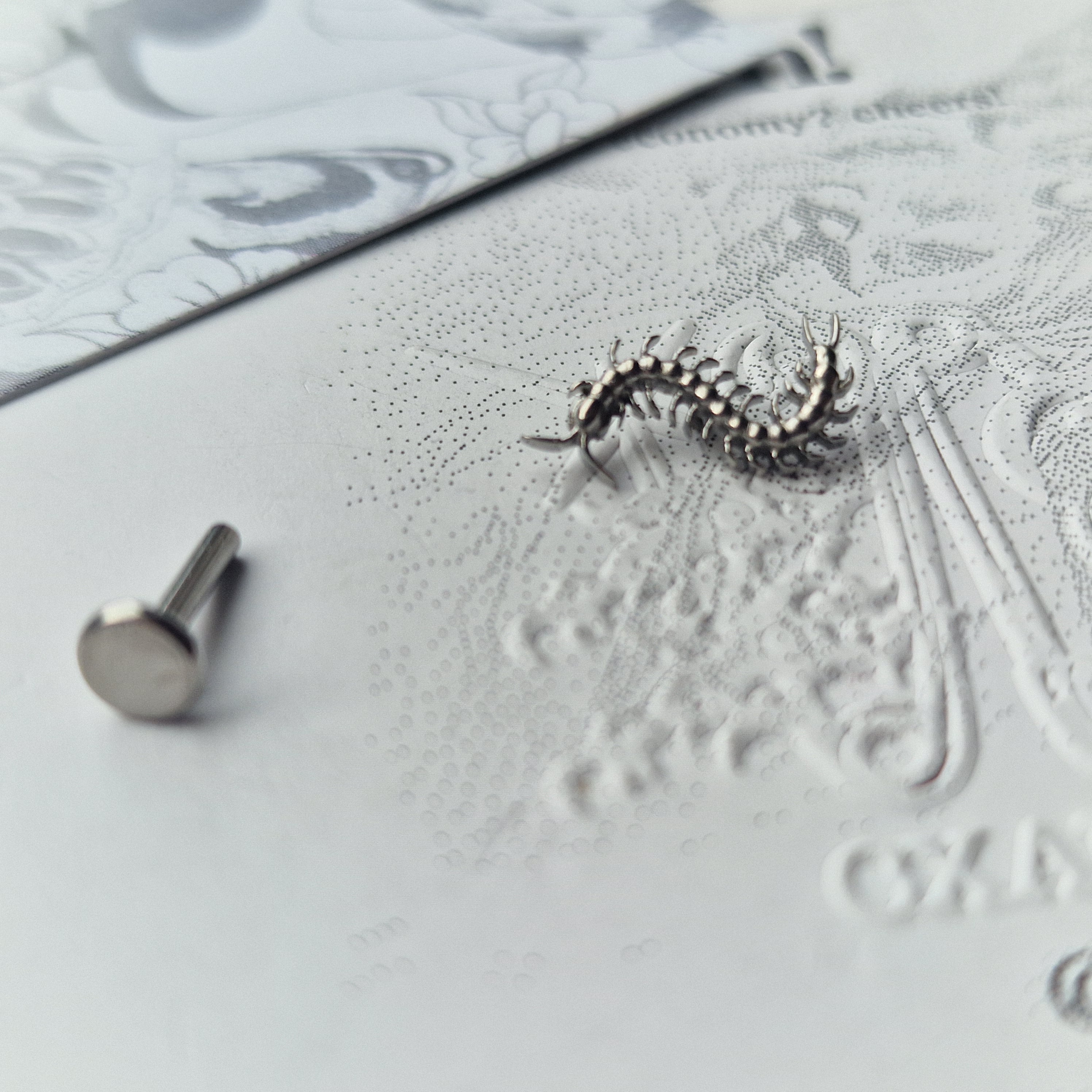 Centipede Insect Silver Titanium Stud |  Nature Body Piercings and Jewellery
