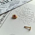 Adored Shinning Golden Sacred Red Heart | Zircon Set Body Jewellery and Piercings